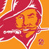NFL Tampa Bay Buccaneers Retro Logo Moto E5 Play Skin